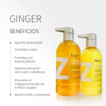 GINGER-DUO-1