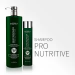 PRO NUTRITIVE shampoo-1